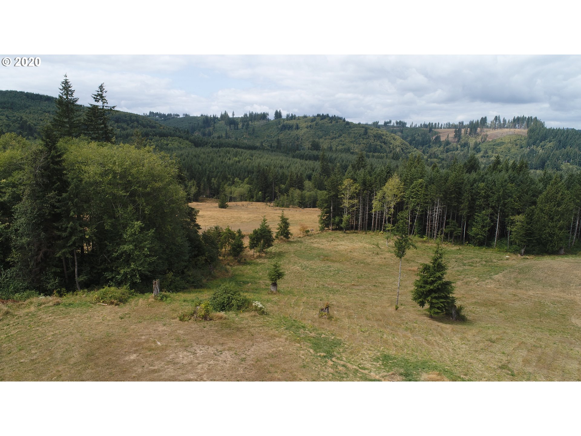 0 Oak Point Road Longview, WA 98632 - Photo 3 of 16