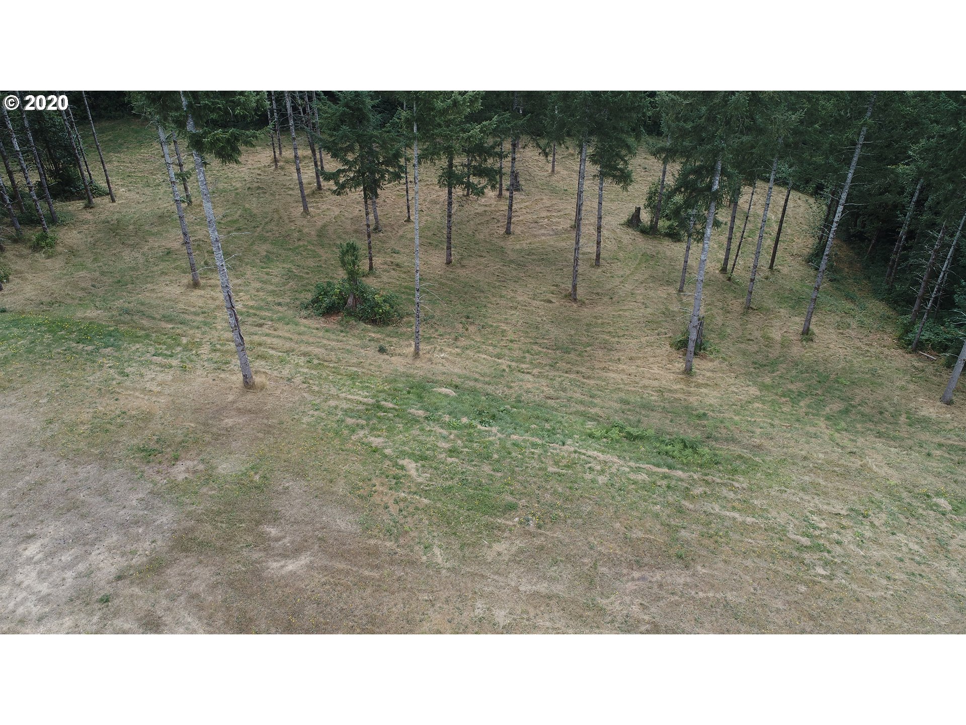 0 Oak Point Road Longview, WA 98632 - Photo 8 of 16