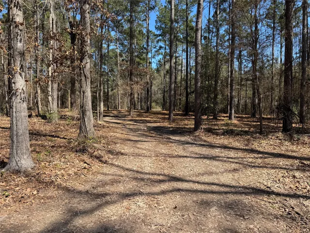 a view of road with trees