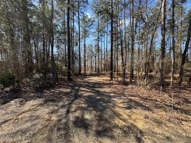 a view of outdoor space with trees