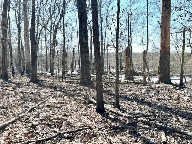 a view of outdoor space with lots of trees