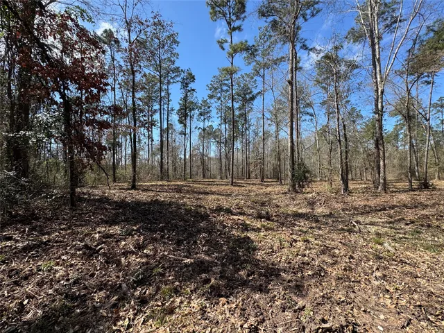 a view of outdoor space with trees
