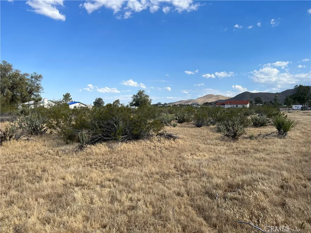 0 Shooting Iron Trail Julian, CA 92036 - Photo 6 of 9 a view of a yard