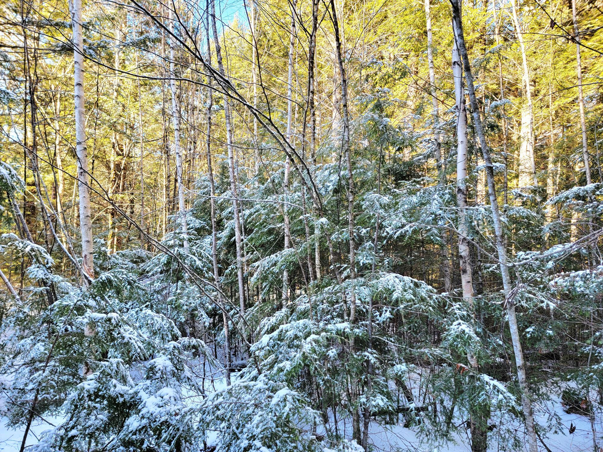 27 Trout Brook Road Ellsworth, ME 04605 - Photo 7 of 26 27 Trout Brook Rd