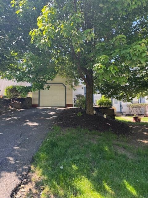 1003 Rural Ridge Drive Cheswick, PA 15024 - Photo 2 of 30 a view of backyard with tree