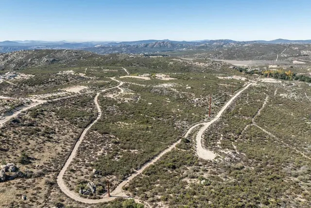 a close up of a tree