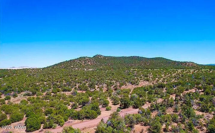 0 Vernon Concho, AZ 85924 - Photo 9 of 10