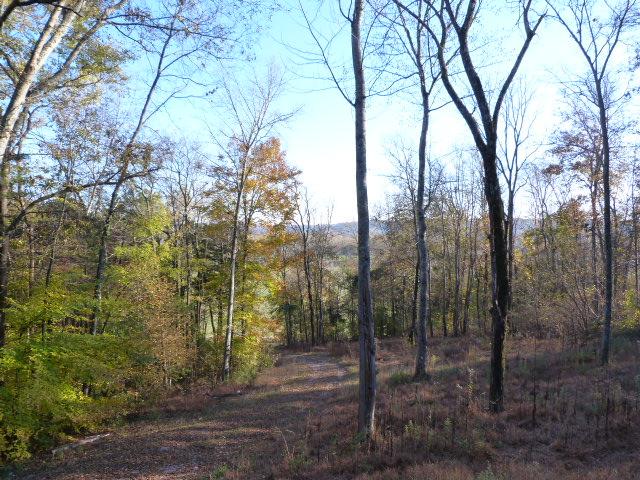 782 Red Hill Road Normandy, TN 37360 - Photo 3 of 7 Beautiful entrance to this secluded home.