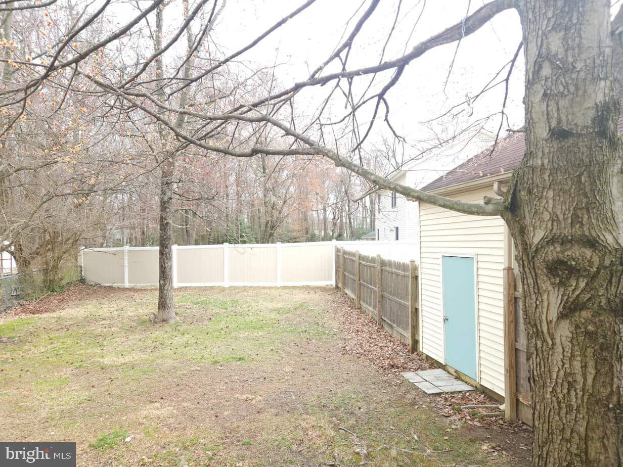 1211 Shesley Road Edgewater, MD 21037 - Photo 3 of 17 Backyard