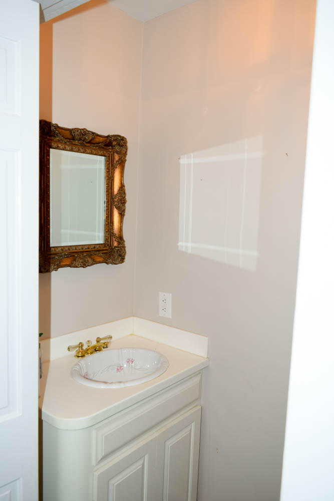 11 Colonial Street Charleston, SC 29401 - Photo 13 of 26 DSC_0027