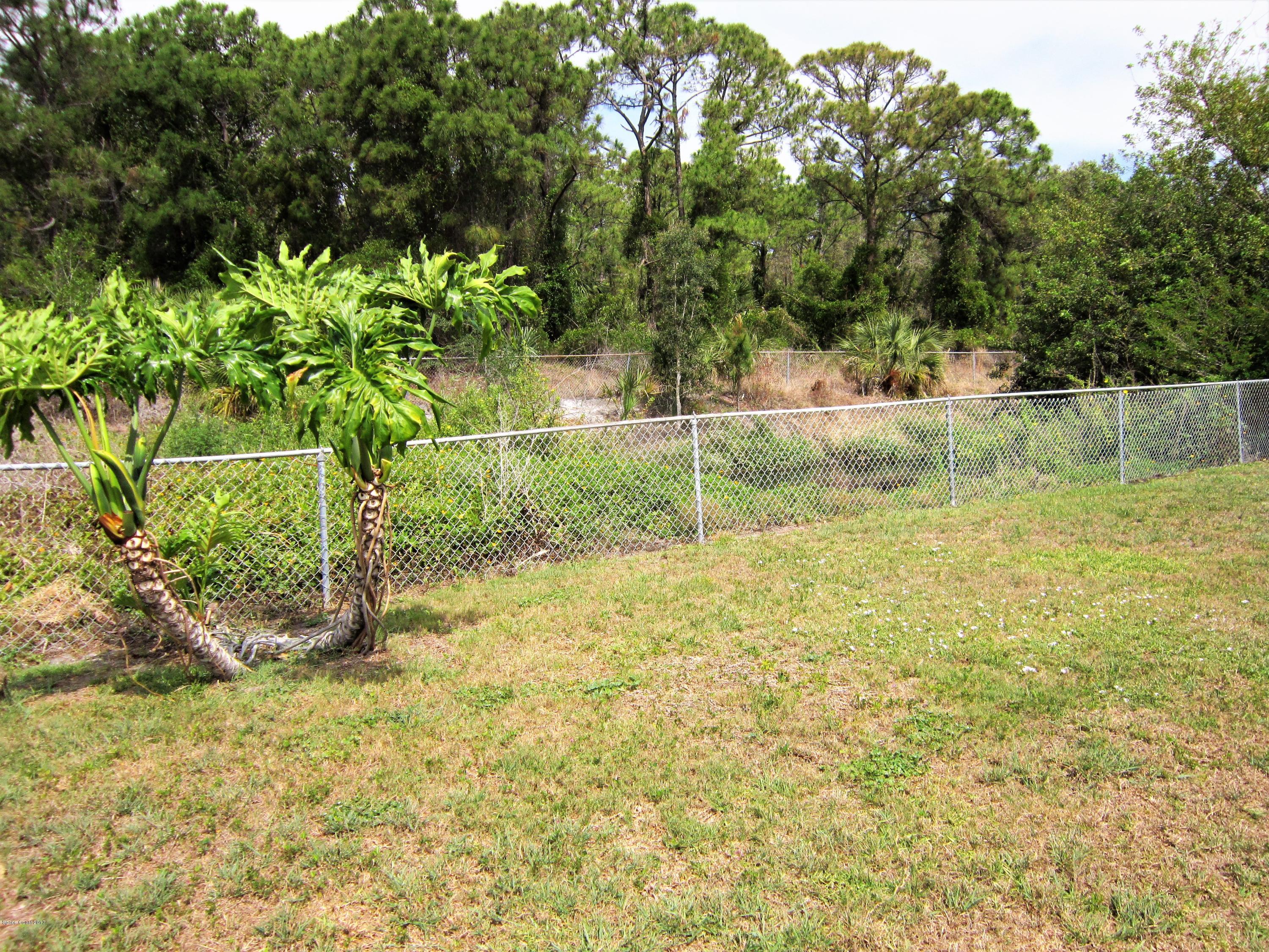 1788 Mango Street Northeast Palm Bay, FL 32905 - Photo 14 of 16 Back of Home
