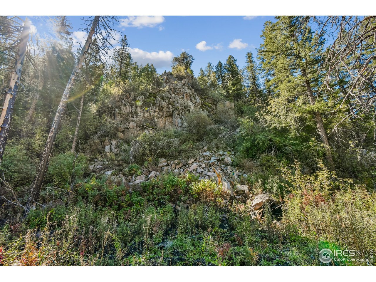 511 Riverside Drive Lyons, CO 80540 - Photo 3 of 6 a view of a city
