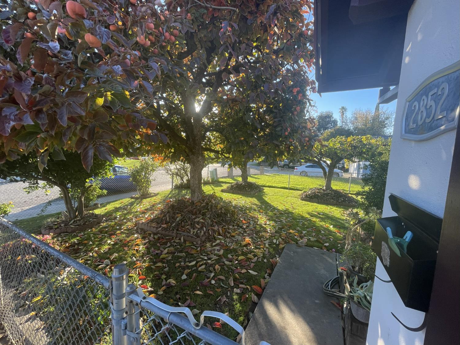 2852 Rascommon Way Sacramento, CA 95827 - Photo 4 of 6 a view of a yard with flower plants