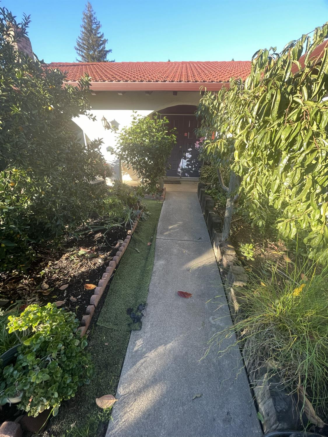 2852 Rascommon Way Sacramento, CA 95827 - Photo 5 of 6 a view of a pathway with a yard