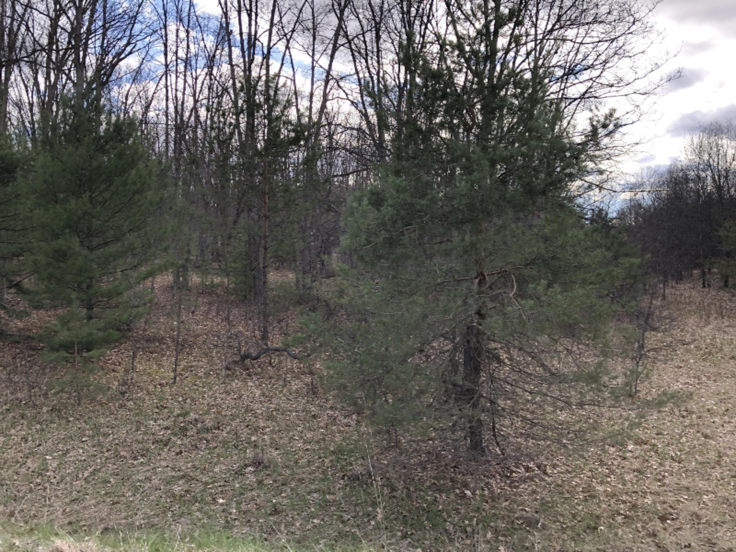 F Fawn Road Wellston, MI 49689 - Photo 2 of 3 IMG_6754