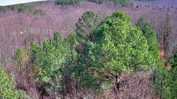 $63,000 | 255 Falling Cliff Drive, Unit 102, South Pittsburg, TN 37380