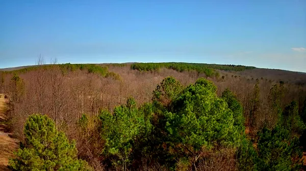 $63,000 | 255 Falling Cliff Drive, Unit 102, South Pittsburg, TN 37380