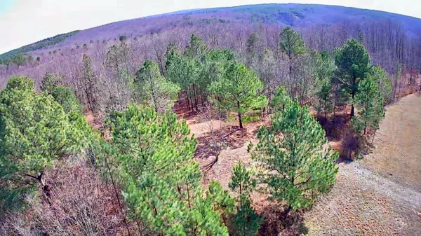 $63,000 | 255 Falling Cliff Drive, Unit 102, South Pittsburg, TN 37380