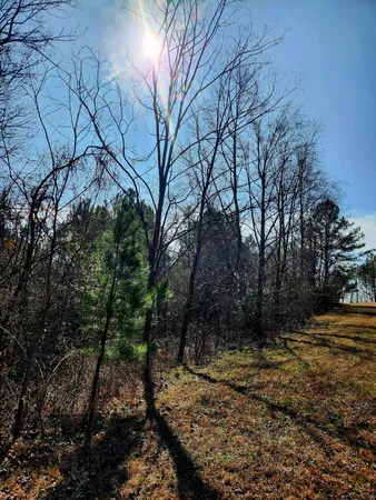$63,000 | 255 Falling Cliff Drive, Unit 102, South Pittsburg, TN 37380