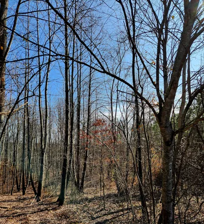 $63,000 | 255 Falling Cliff Drive, Unit 102, South Pittsburg, TN 37380