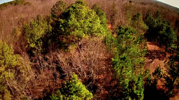 $63,000 | 255 Falling Cliff Drive, Unit 102, South Pittsburg, TN 37380