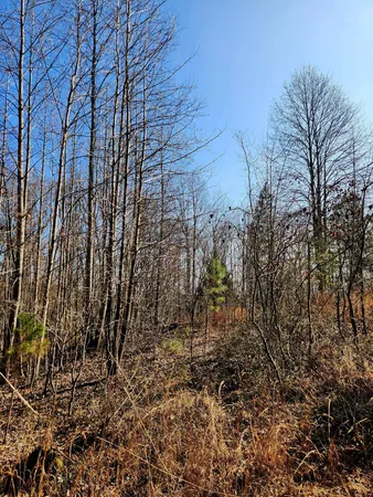 $63,000 | 255 Falling Cliff Drive, Unit 102, South Pittsburg, TN 37380