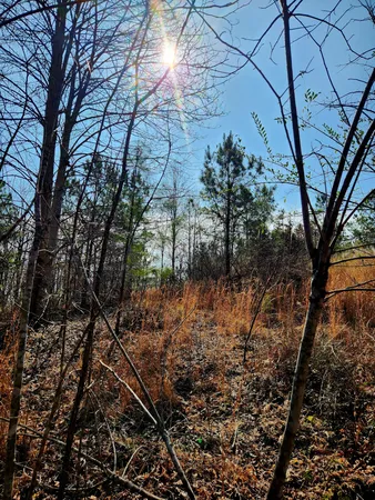 $63,000 | 255 Falling Cliff Drive, Unit 102, South Pittsburg, TN 37380