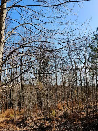 $63,000 | 255 Falling Cliff Drive, Unit 102, South Pittsburg, TN 37380