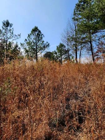 $63,000 | 255 Falling Cliff Drive, Unit 102, South Pittsburg, TN 37380