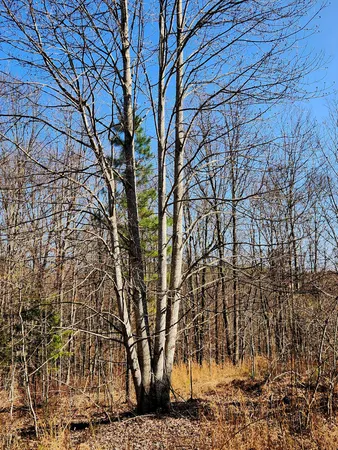 $63,000 | 255 Falling Cliff Drive, Unit 102, South Pittsburg, TN 37380