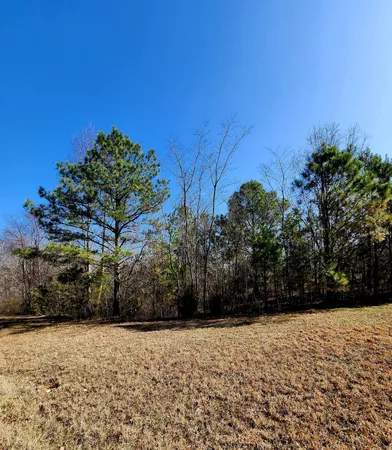 $63,000 | 255 Falling Cliff Drive, Unit 102, South Pittsburg, TN 37380