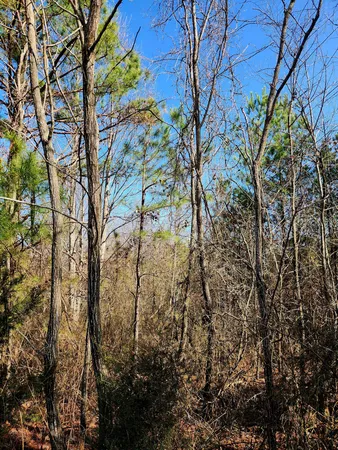 $63,000 | 255 Falling Cliff Drive, Unit 102, South Pittsburg, TN 37380