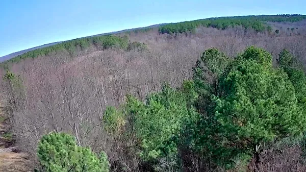 $63,000 | 255 Falling Cliff Drive, Unit 102, South Pittsburg, TN 37380