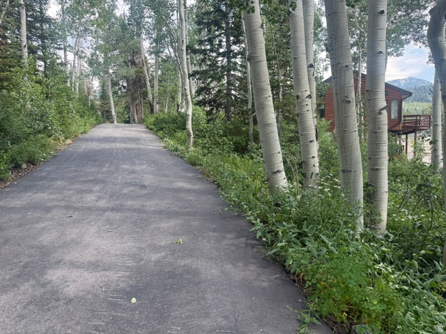 12592 Lupine Ridge Road Salt Lake City, UT 84121 - Photo 18 of 20 road to the cabin is paved