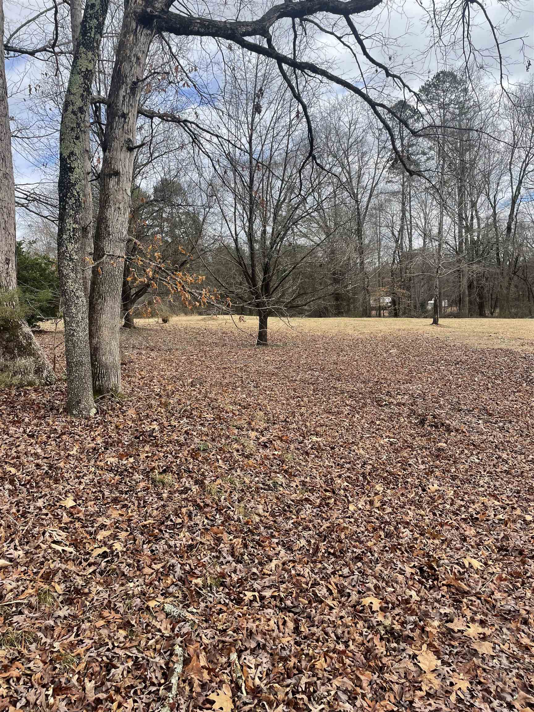 Highland Hills Road Campobello, SC 29322 - Photo 1 of 3