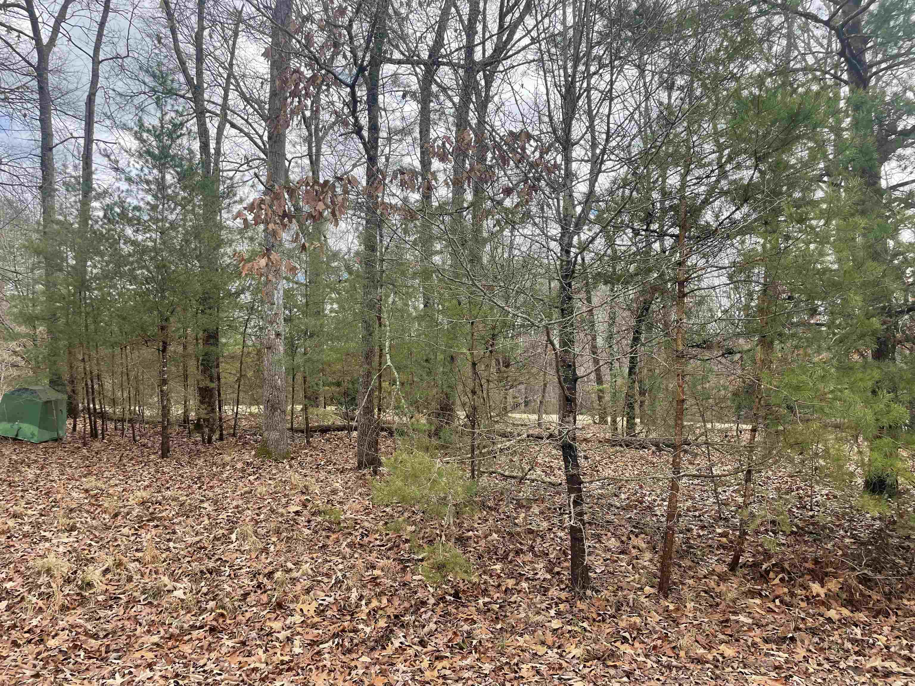 Highland Hills Road Campobello, SC 29322 - Photo 2 of 3
