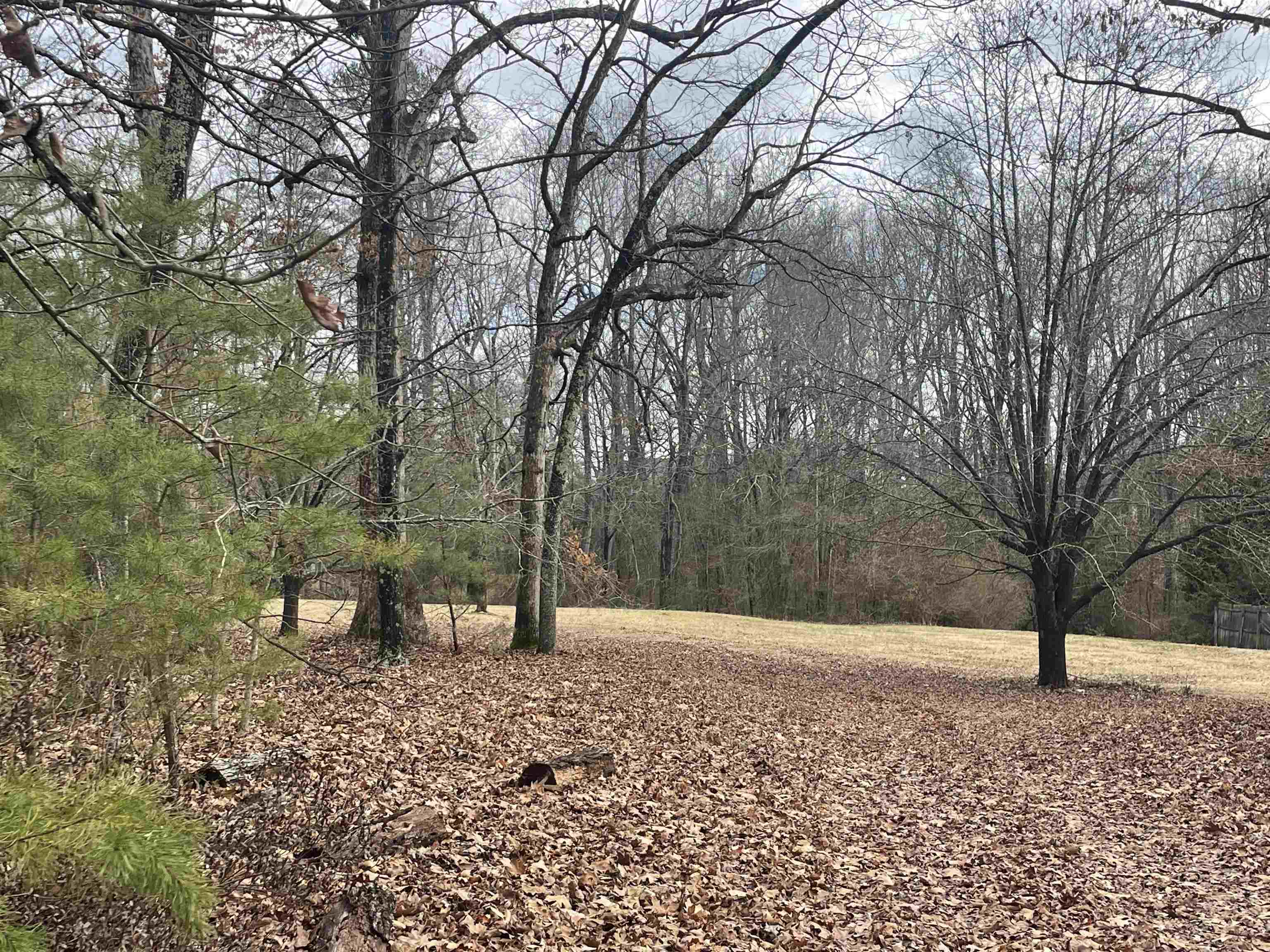 Highland Hills Road Campobello, SC 29322 - Photo 3 of 3