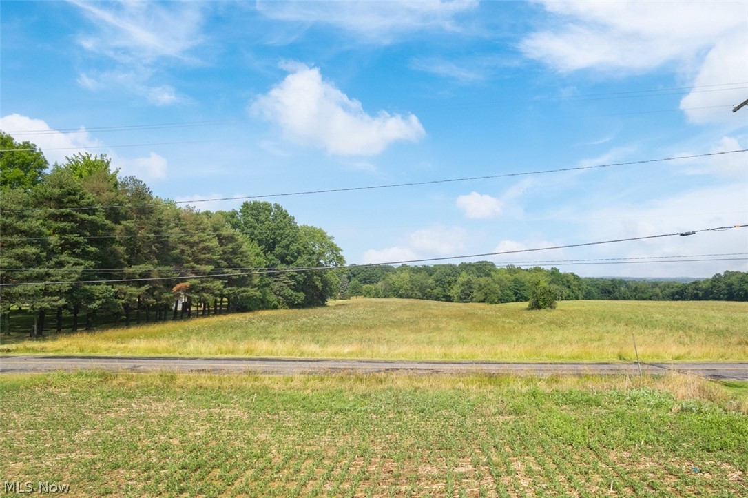 Acme Road Rittman, OH 44270 - Photo 6 of 45 View of yard