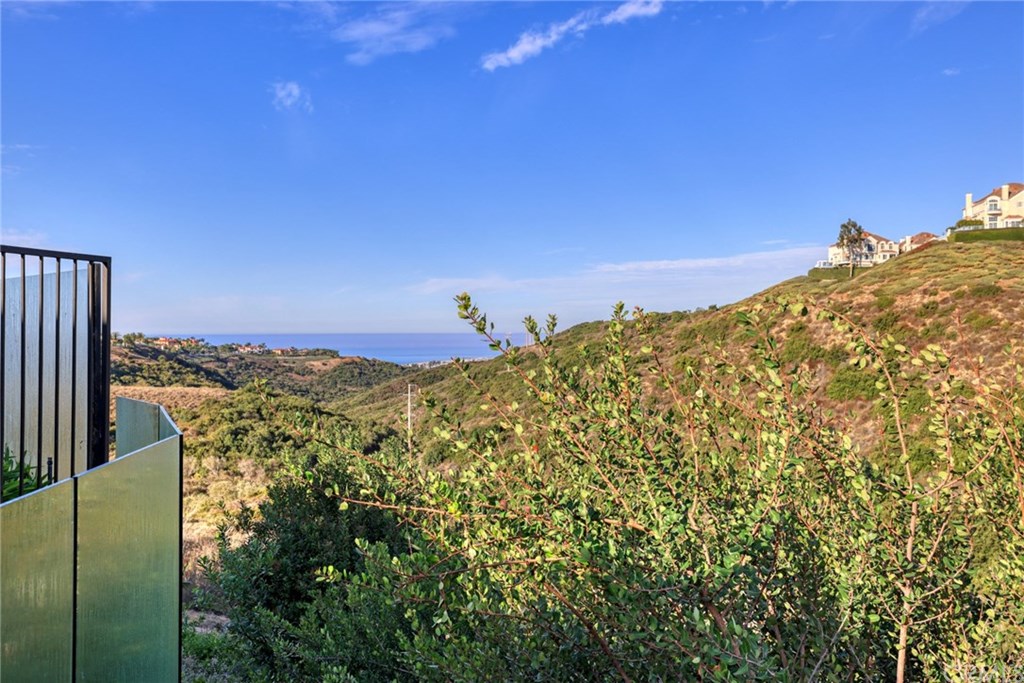12 Sugar Pine Road Newport Coast, CA 92657 - Photo 32 of 45 Canyon and ocean view.