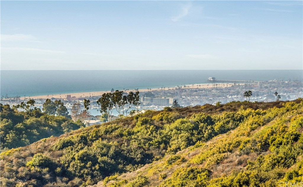 12 Sugar Pine Road Newport Coast, CA 92657 - Photo 38 of 45 View - View - View!