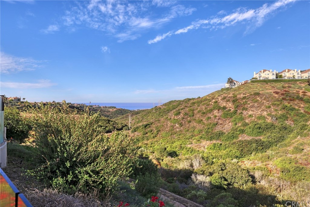 12 Sugar Pine Road Newport Coast, CA 92657 - Photo 41 of 45