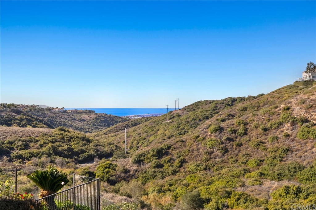 12 Sugar Pine Road Newport Coast, CA 92657 - Photo 42 of 45