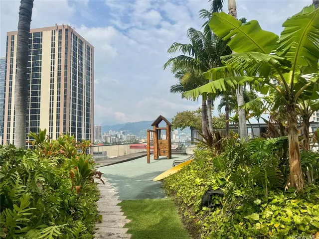 a view of a garden with a plant