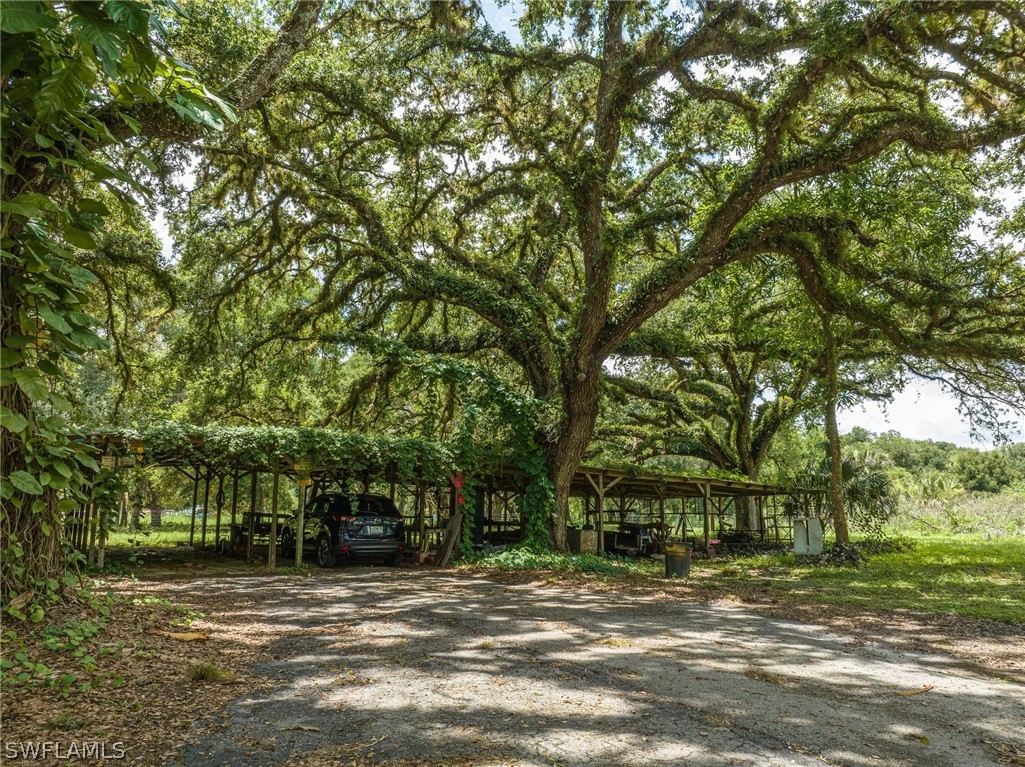22491 Tuckahoe Road Alva, FL 33920 - Photo 31 of 34 a view of a out door space area