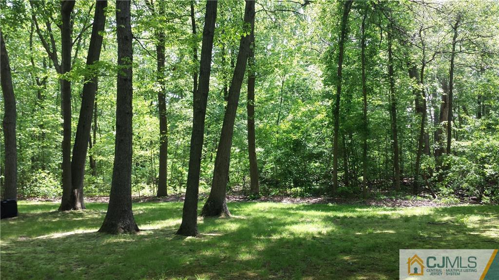 72 Spring Hill Road Old Bridge, NJ 07747 - Photo 2 of 4 a view of outdoor space and yard