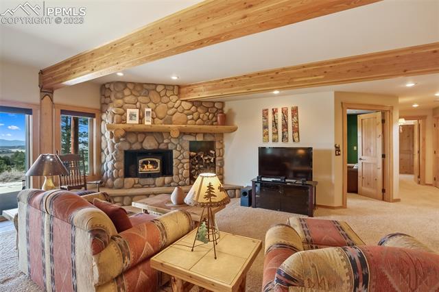 11155 Elk Ridge South Divide, CO 80814 - Photo 23 of 38