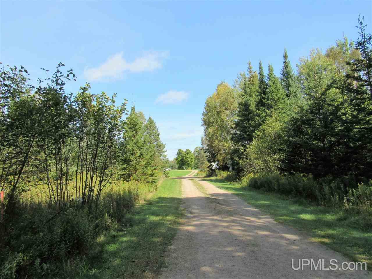 5226 Co Road Rock, MI 49880 - Photo 3 of 34