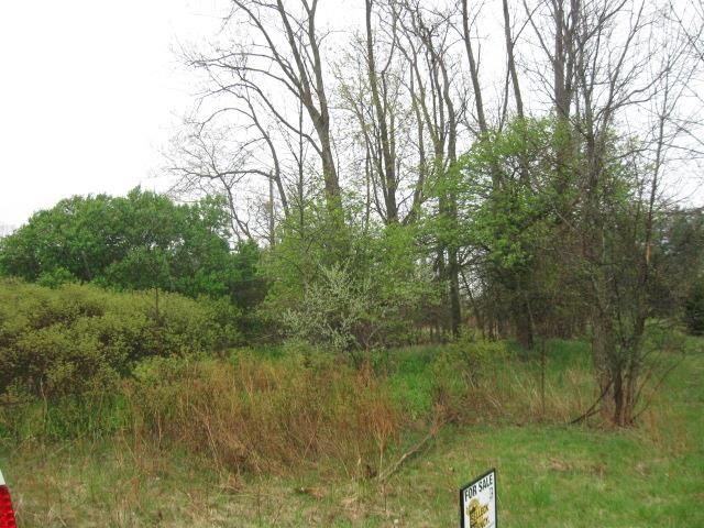 Easton Road New Lothrop, MI 48460 - Photo 2 of 2