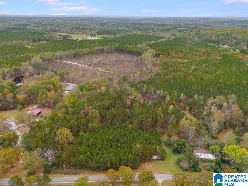 607 County Road 88 Fruithurst, AL 36262 - Photo 2 of 16