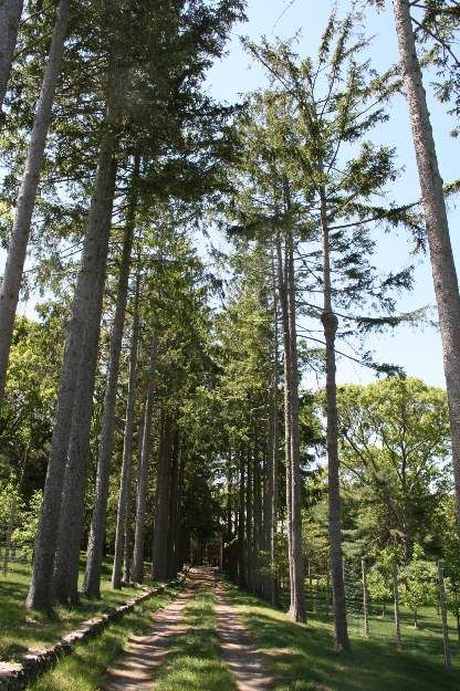 Undisclosed Address Sag Harbor, NY 11963 - Photo 10 of 12 a view of a patio with a trees
